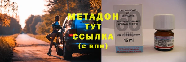 сатива Аркадак
