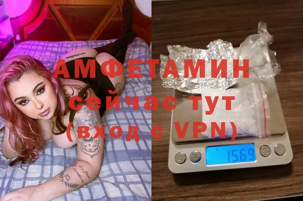 сатива Аркадак
